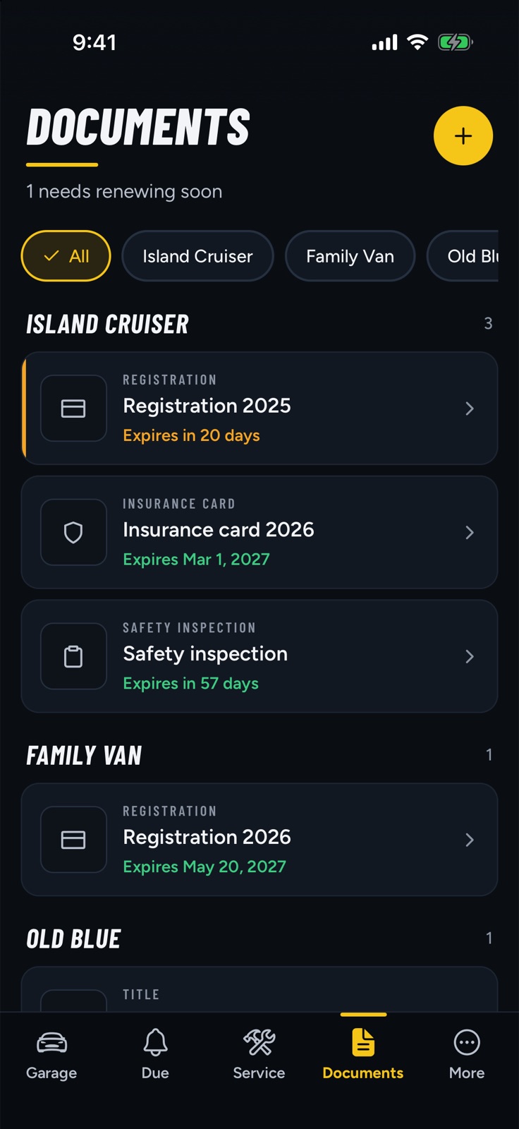 Documents grouped by vehicle with their expiry dates